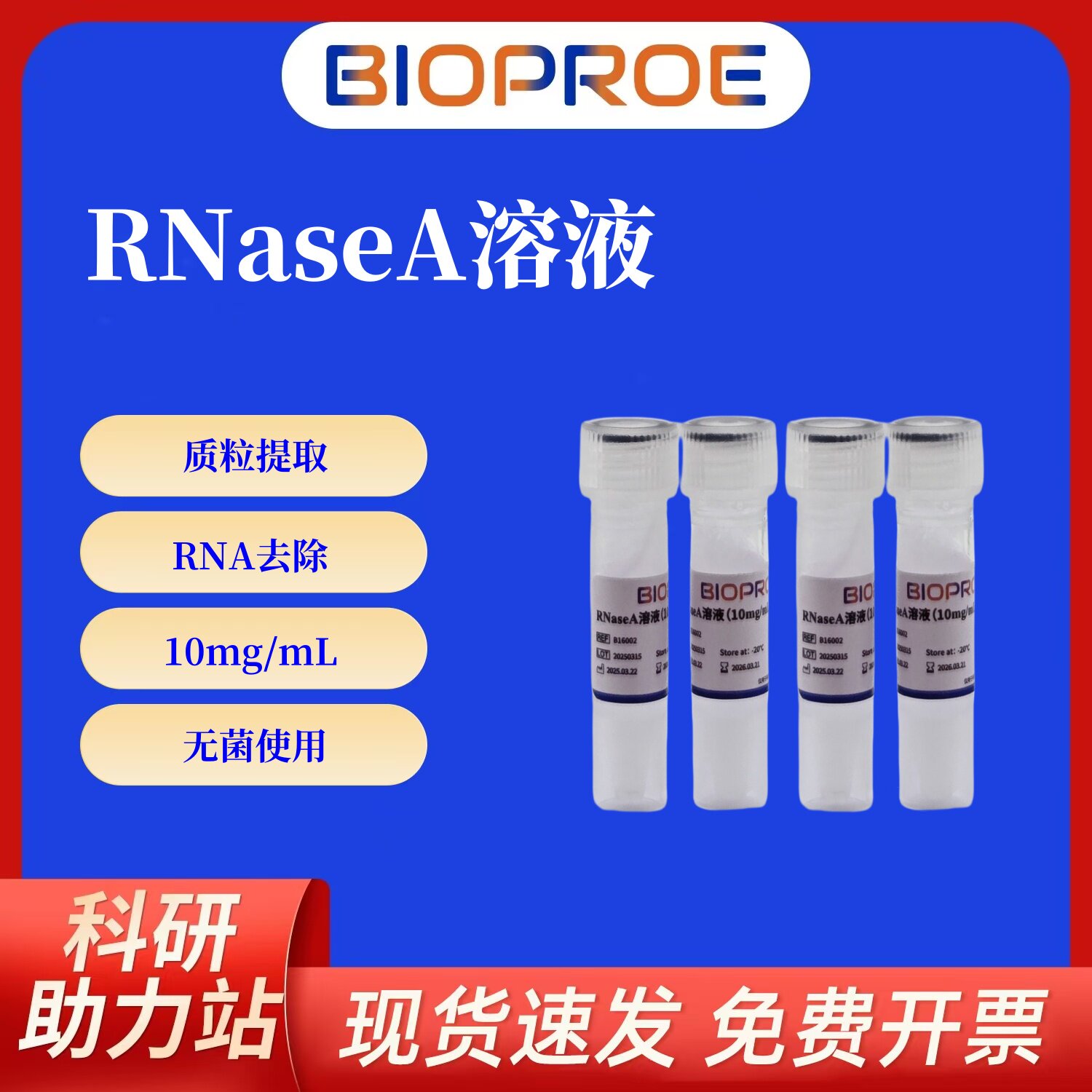 RNaseA溶液10mg/mL核糖核酸酶A溶液 质粒提取RNA去除