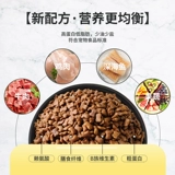 Собачья корм плюшевый золотисто -ретривер, чем медведь Корки Бомеи Лабра многоразмерные собаки с маленькими и средними собаками с 3 котлами