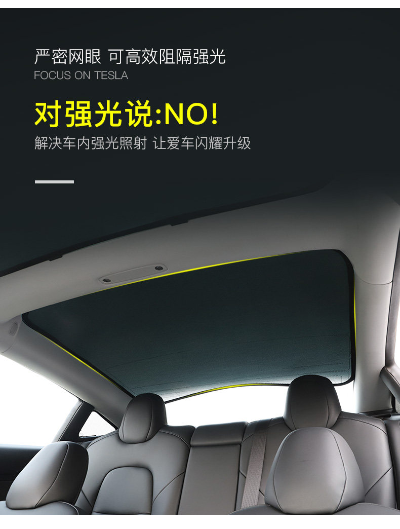 Tesla Details_10.jpg