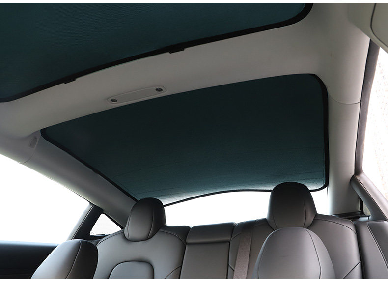 TESLA DETALIS_19.JPG