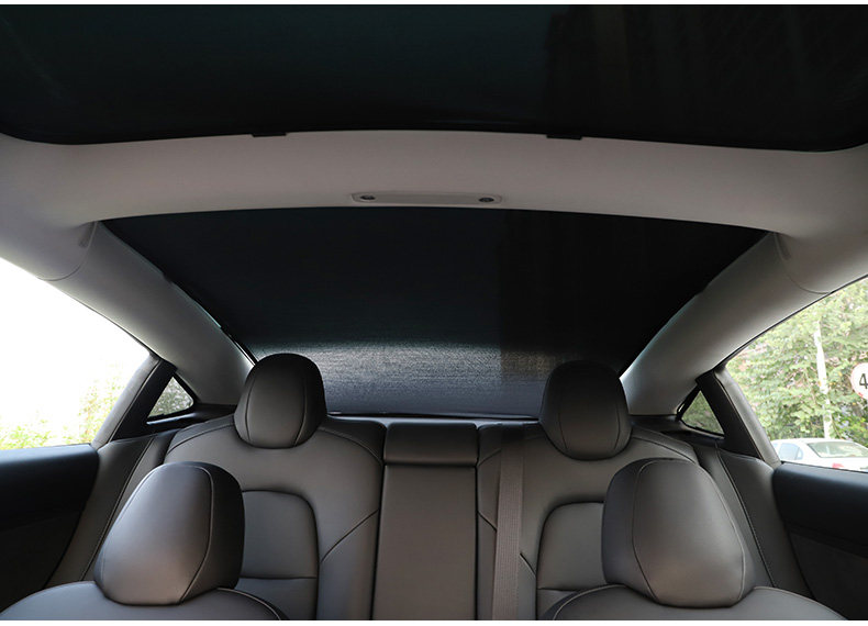 TESLA DETALIS_21.JPG