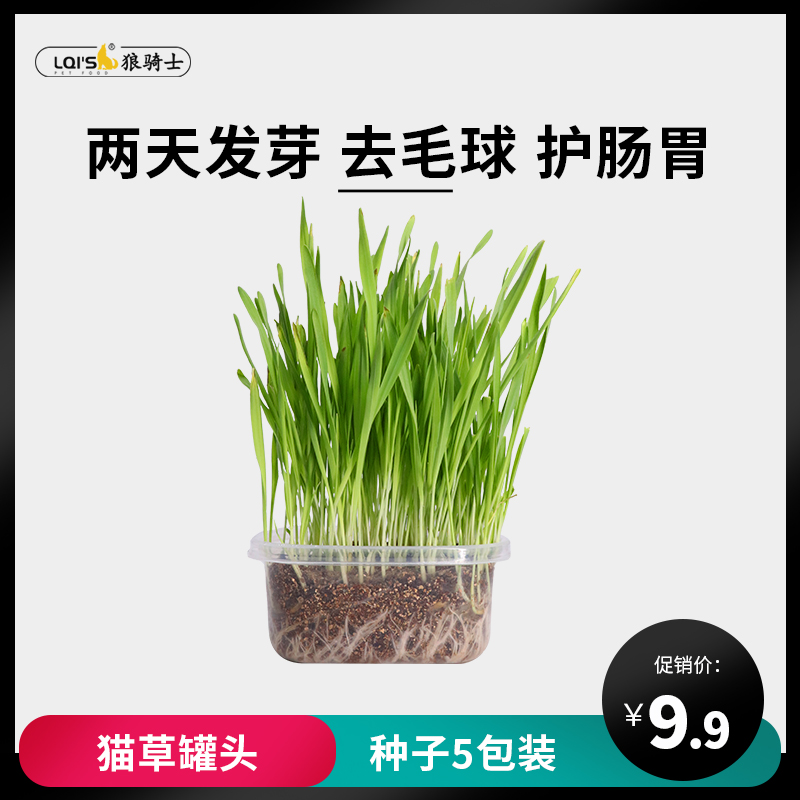 Wolf Rider Cat Grass Seed Cat Mint Cat Snacks To Hair Ballads Hair Cream Cat Grass Seed To Grow Kitty Supplies