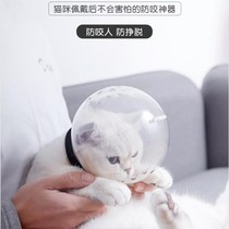 Pet Cat Dog Headgear Breathable Elizabeth Circle Anti-lick Anti-kitty Cat Space Head Hood Manufacturer Straight