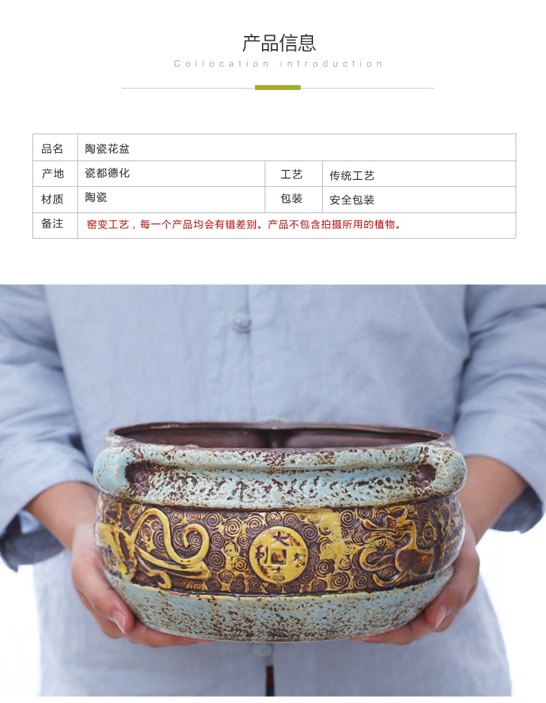 More meat plant flowerpot More than old running the banyan ceramics ceramic flower implement green asparagus orchid flower POTS dry flower vase
