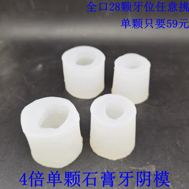 牙科  4倍单颗牙齿阴模 翻制石膏大牙模型 28颗牙位任意选软硅胶