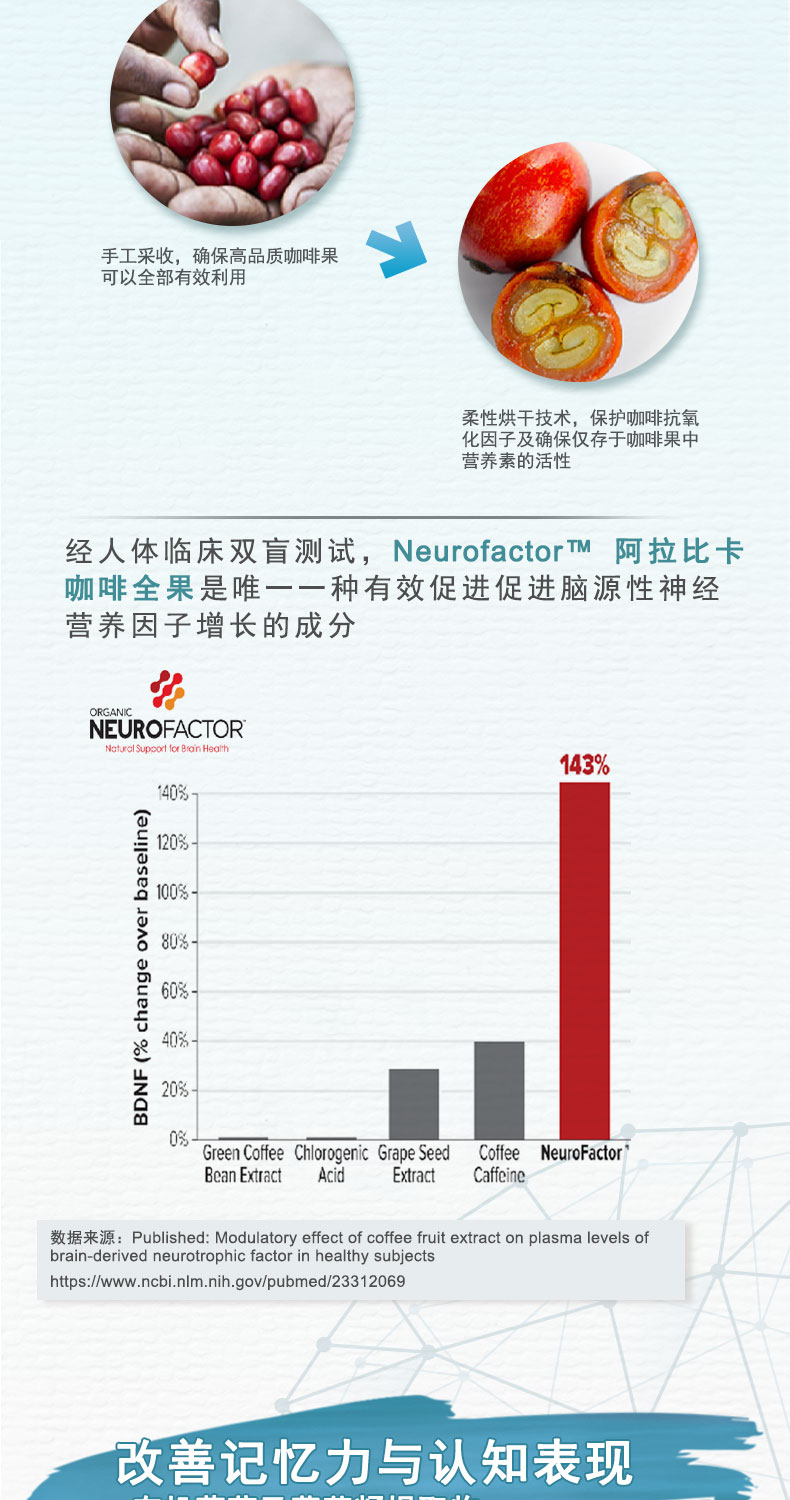 生命花园脑力片提升记忆力健脑片60粒