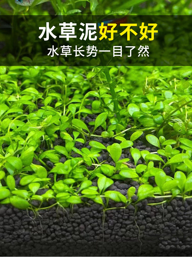 生态鱼缸的秘密武器：水草泥基肥营养液，告别水藻泥陶粒砂的烦恼！-肥料-淘宝百科网