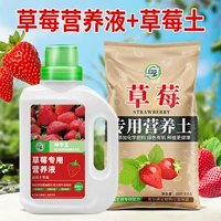 10 котловых клубничных почв+