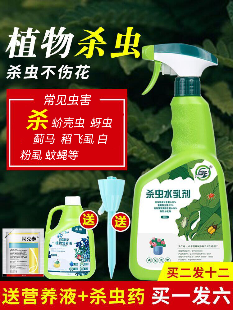 Insecticide Flower plants Flowers and plants General starscream scale shell insects Special aphid insecticide Fleshy household deworming