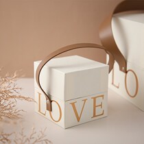 Bride with hand gift box male best man female bridesmaid walking heart a set of simple wedding engagement practical