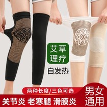 Self-heating kneecap old chill leg Agrass male lady four-season leg cover autumn and winter warm lengthened protective leg joint anti-cold