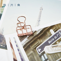 Autumn knife fish stationery clip hollowed-out dovetail clip minimalist metal retro iron ticket clip large small and medium size long tail clip folder sub-information paper clip