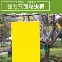 Powerful double-sided adhesive insect plate small black greenhouse yellow plate double-sided paper with yellow booby-trapped plate Stained Plate Shinoshino