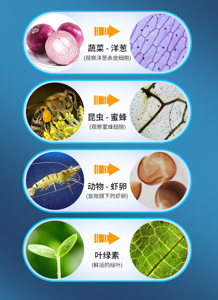 Детский набор научный эксперимент 儿童小学生光学显微镜初中生科学实验儿童套装家用高清益智玩具