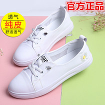 Summer new little Daisy flat white shoes Italian stewardess model Joker fashion street shooting artifact Qingsong