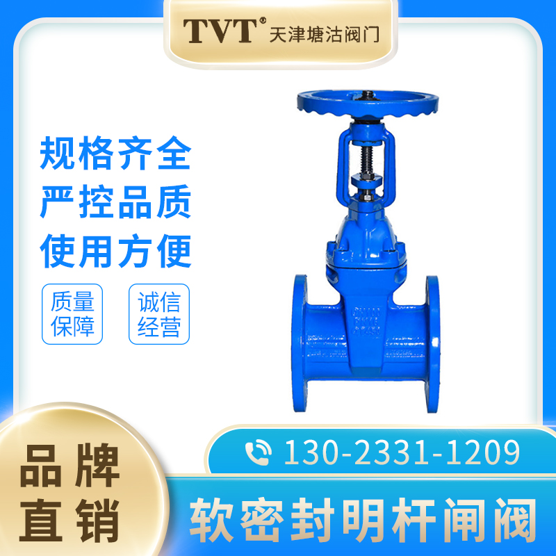 Tianjin Tanggu valve TVT soft seal flange open rod gate valve Z41X-16Q