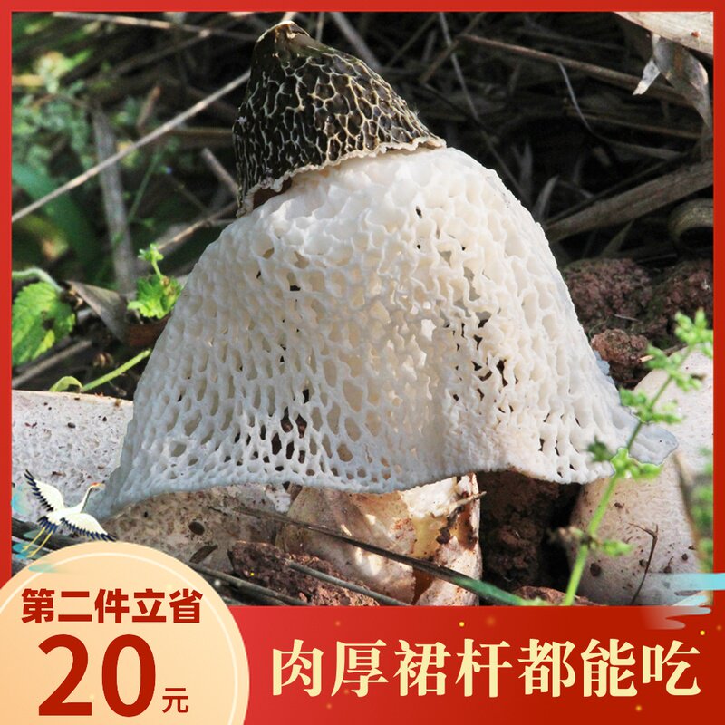 Sichuan long skirt bamboo dry goods 100g Yibun special wild natural sulfur - free mushroom soup