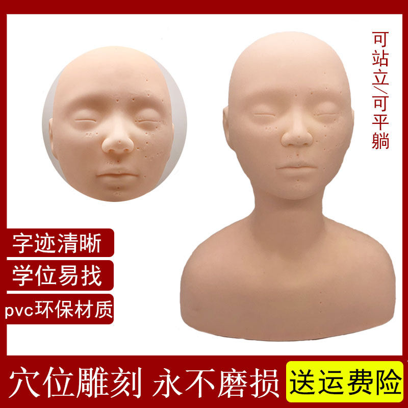 Beauty salon apprentice practice technique dummy head model special facial beauty half-body head shoulder massage dummy model head