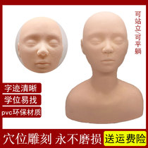 Beauty salon apprentice practice technique fake head model facial beauty half head shoulder massage dummy model head