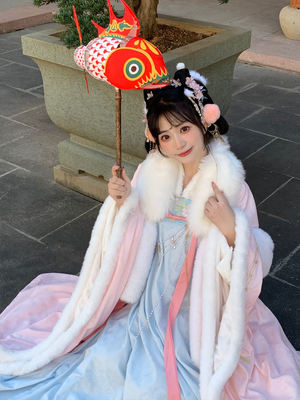 Inkale Tang-style Hanfu women's Chinese-style thickened plush embroidered sleeved shirt, chest-length torn skirt, original winter