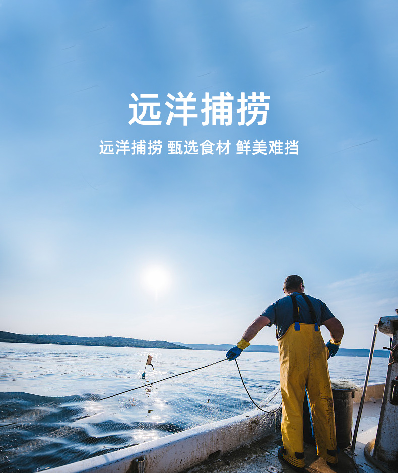 航海岛 碳烤鱿鱼丝/条/片 100g 图2