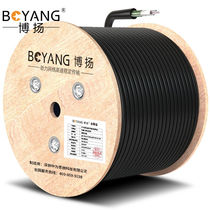 BOYANG (BOYANG) armored single-mode outdoor optical cable layer twisted outdoor overhead pipe optical fiber line GYXTW