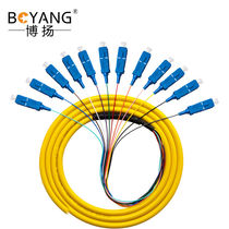 Boyang BY-SC12 Telecom Class Single Mode Fiber Patch Cable Pigtail 1 2 M 12 Core SC Bundle Pigtail ODF Unit