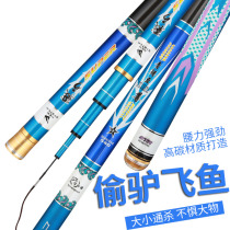 Turgeon to the Fishing Rod South Expedition 6H19 Tune Black Steal Donkey Rod Carp Rod super-light ultra-hard bench fishing rod