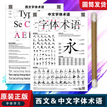 Chinese font term size beautiful comparison table male and female grass hard pen calligraphy practice sticker Hanyi material art block handwritten printing computer ps effect ai design wall sticker poster