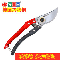 Sagawa Tian Fruit tree pruning shears branch shears German imported steel household large open iron handle flower small branch scissors