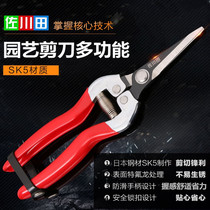 Sagawa Tin SK5 steel flat mouth gardening home pruning bonsai scissors professional flower scissors small branch floral arrangement