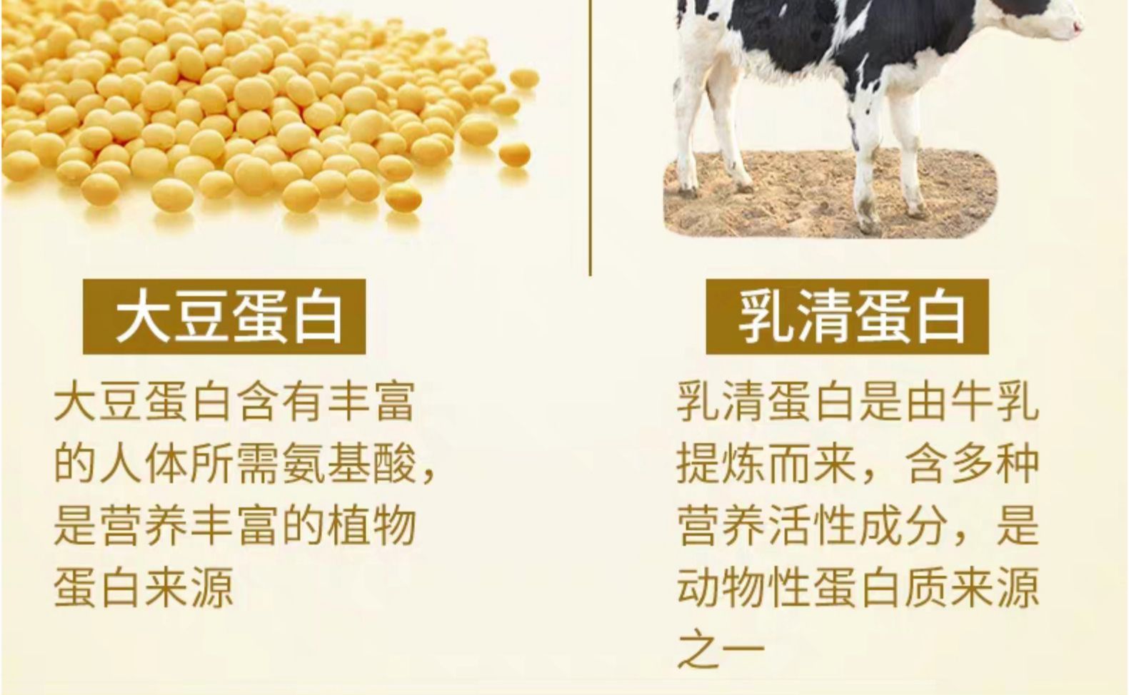 百年老字号 南京同仁堂 双蛋白蛋白质粉 500g 4.9好评 图4