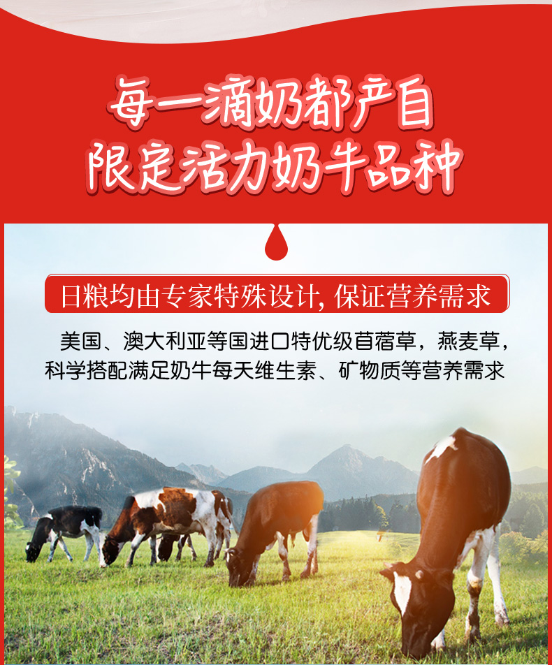 优诺 法式低温果粒酸奶 15杯 10口味可选 图4