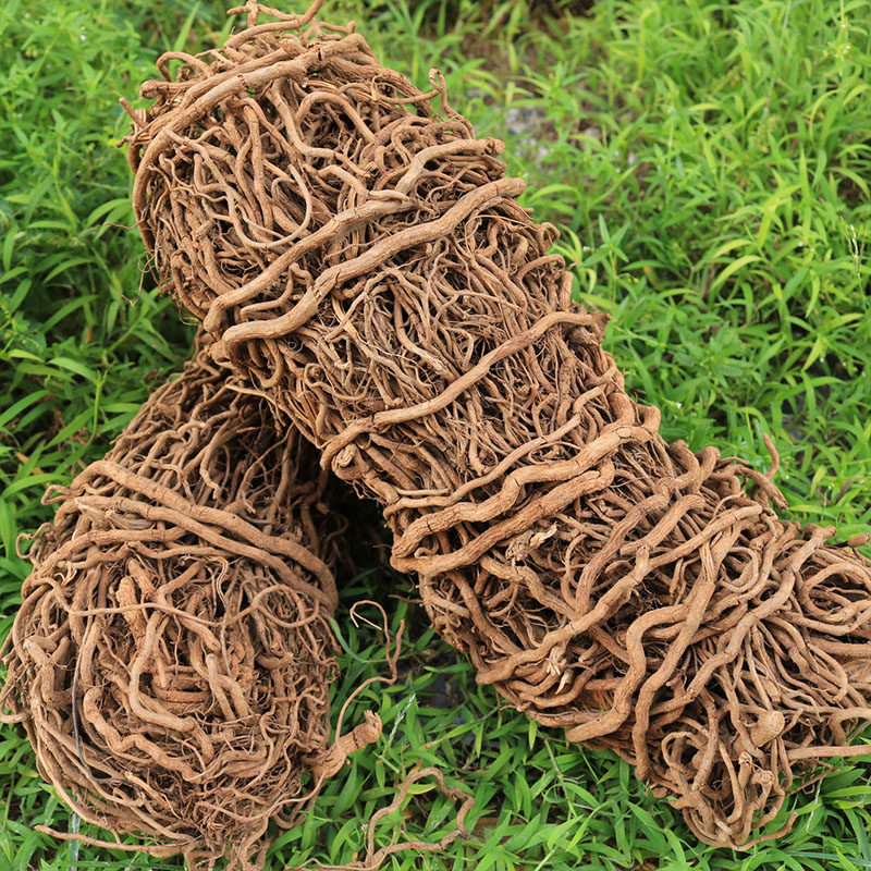 Six shopkeepers Tongcheng tiger root Chinese herbal medicine Wuhu Tongcheng Dingxin grass blood a little blood dried product 250g