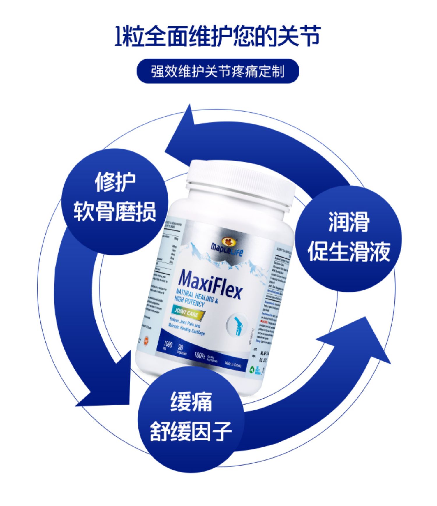 美柏莱氨糖软骨素MSM200粒