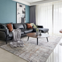 Turkey imported living room carpet Simple modern high-end sofa Nordic coffee table mat bedroom polyester bedside blanket