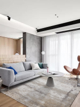 Turkish living room carpet Gray household American simple modern bedroom imported Nordic coffee table mat light luxury ins