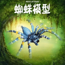 Lin Chang Mu play childrens insect animal toy model Brazilian blue spider white paint head Chile fire rose simulation Spider