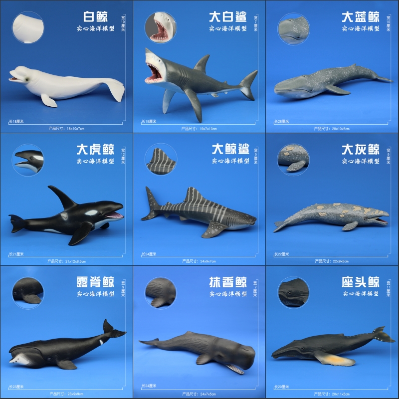 Forest Beston Play Children Emulation Marine Life Animal Model Toy Killer Whale Blue Whale White Whale Sperm Whale Unicorn Whale Unicorn Whale