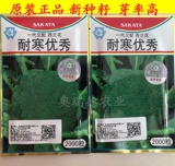 Японские импортные холодные устойчивые к отличным семенам с семенами брокколи зеленый брокколи четыре сезона овощные семена 2020 Новые семена