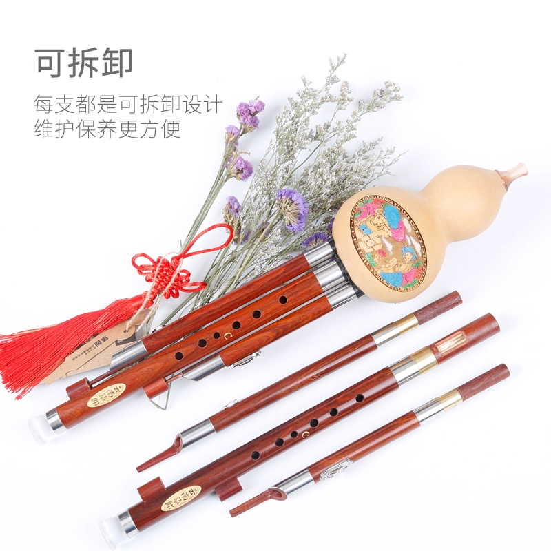 New Junlang Musical Instruments Red Sandalwood Pipe Cucurbit Set 5 chiếc, bao gồm 5 bộ D C, B, G và F - Nhạc cụ dân tộc