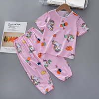 DL509-Short Light Pony