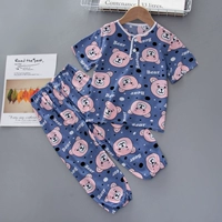 DL510-Short Light Powd