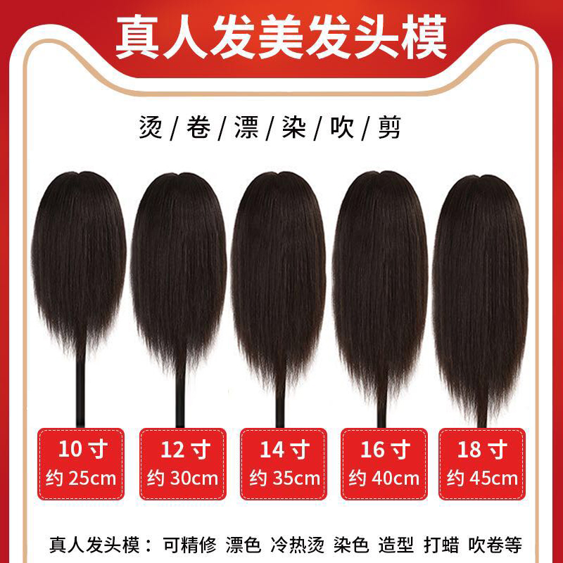 Real Hair Mannequin Head for Hairdressing Practice, Full Real Hair, Suitable for Trainees to Practice Cutting, Styling, and Dyeing, with Stand Real Hair Mannequin Head for Hairdressing Practice, Full Real Hair, Suitable for Trainees to Practice Cutting, Styling, and Dyeing, with Stand