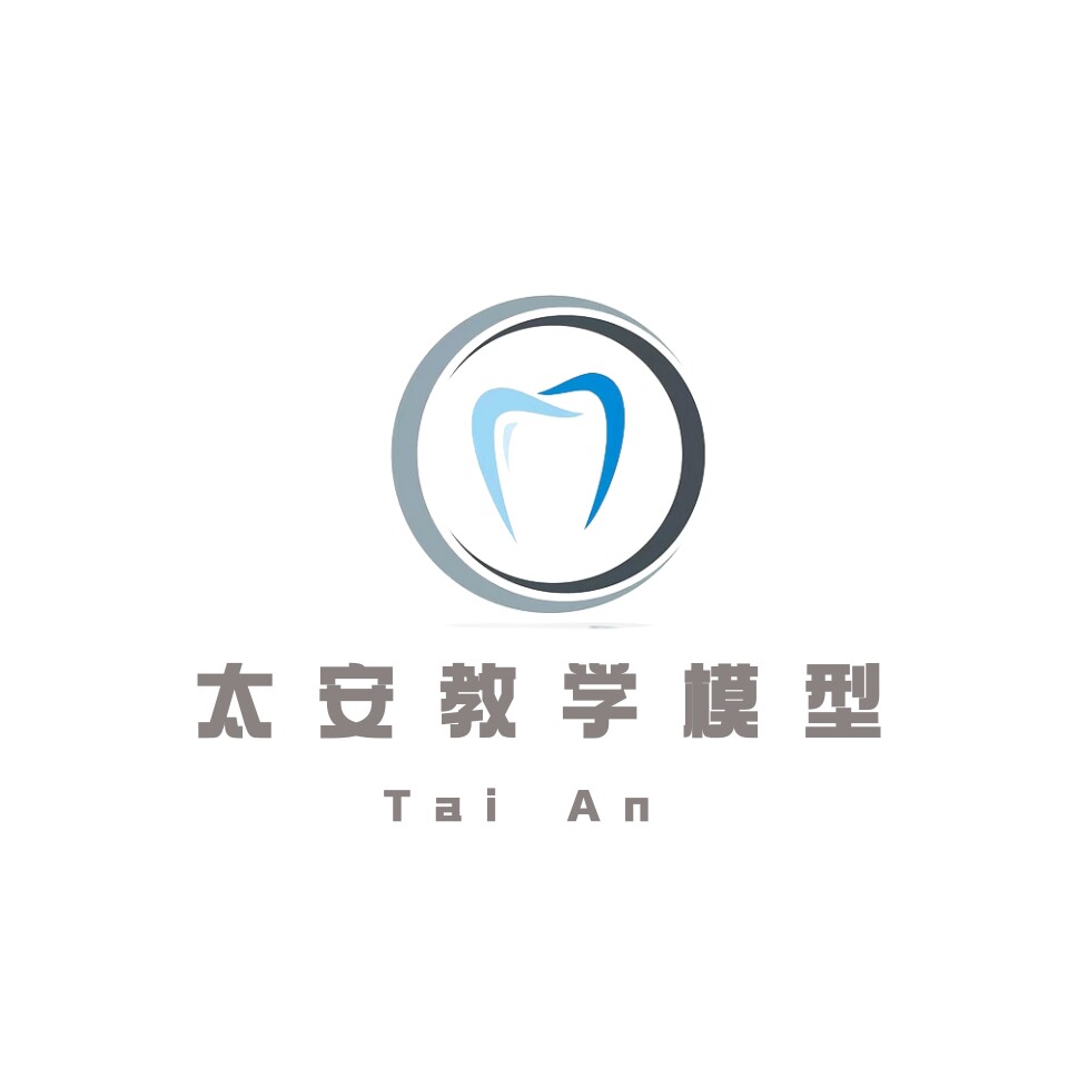 太安教学模型