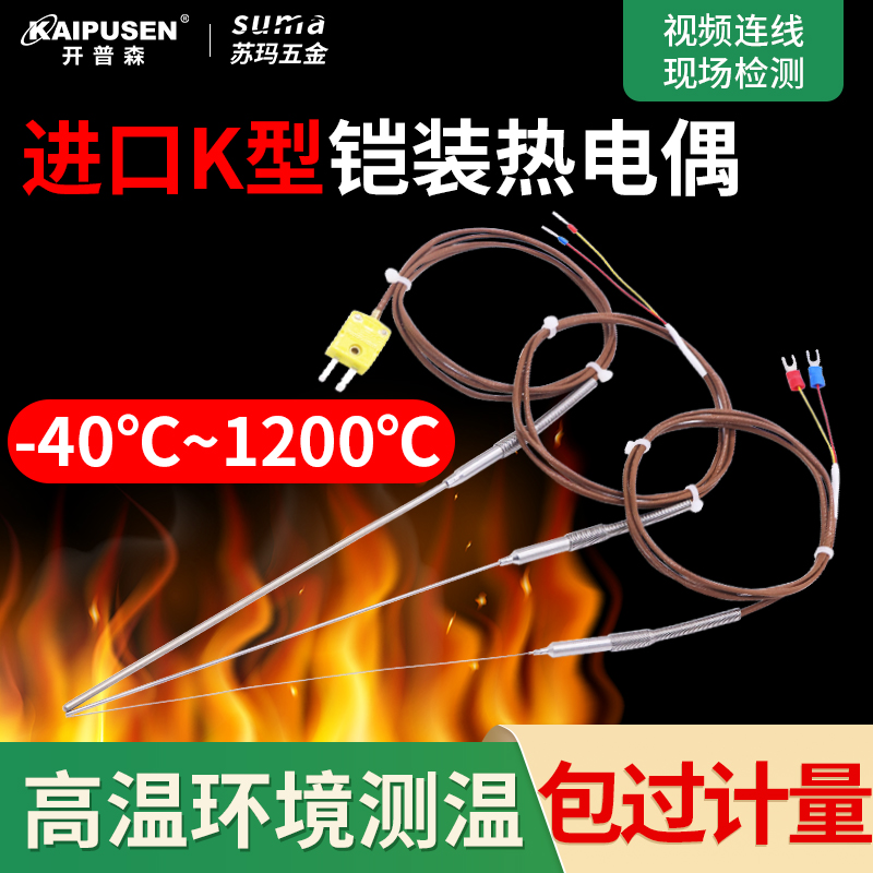 Capson imported K-type armored thermocouple temperature measuring instrument probe high temperature furnace temperature control temperature sensor T-type