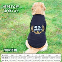 Черные есть позитивные летние модели