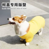 Осенний демисезонный пуховик, желтый зимний шнурок-держатель