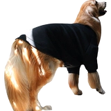 Большая собачья одежда, большая собака осень, зима и зима, теплая зима, золотистый ретривера, зимняя одежда на самуи