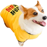 Осенний демисезонный пуховик, желтый зимний шнурок-держатель